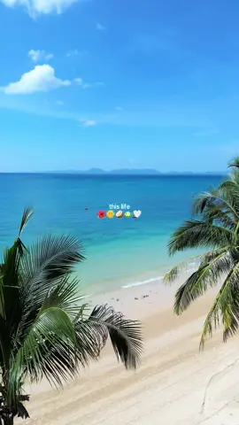 island life <3 #travel #traveltiktok #traveltok #travelling #islandlife #tropicalvibes #beautifuldestinations #oceanlife #fyp 