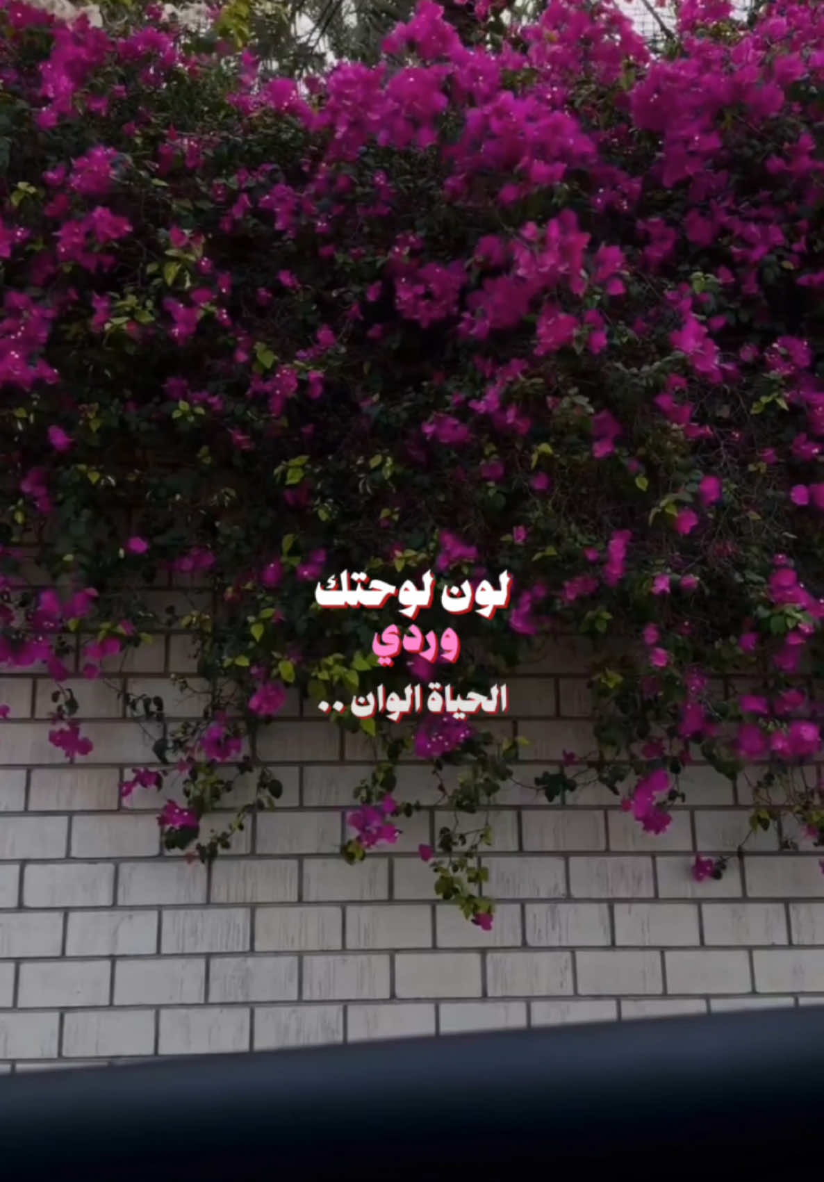 سَمير صَبيح | لون لوحتك ..  #شعر #شعر_شعبي 