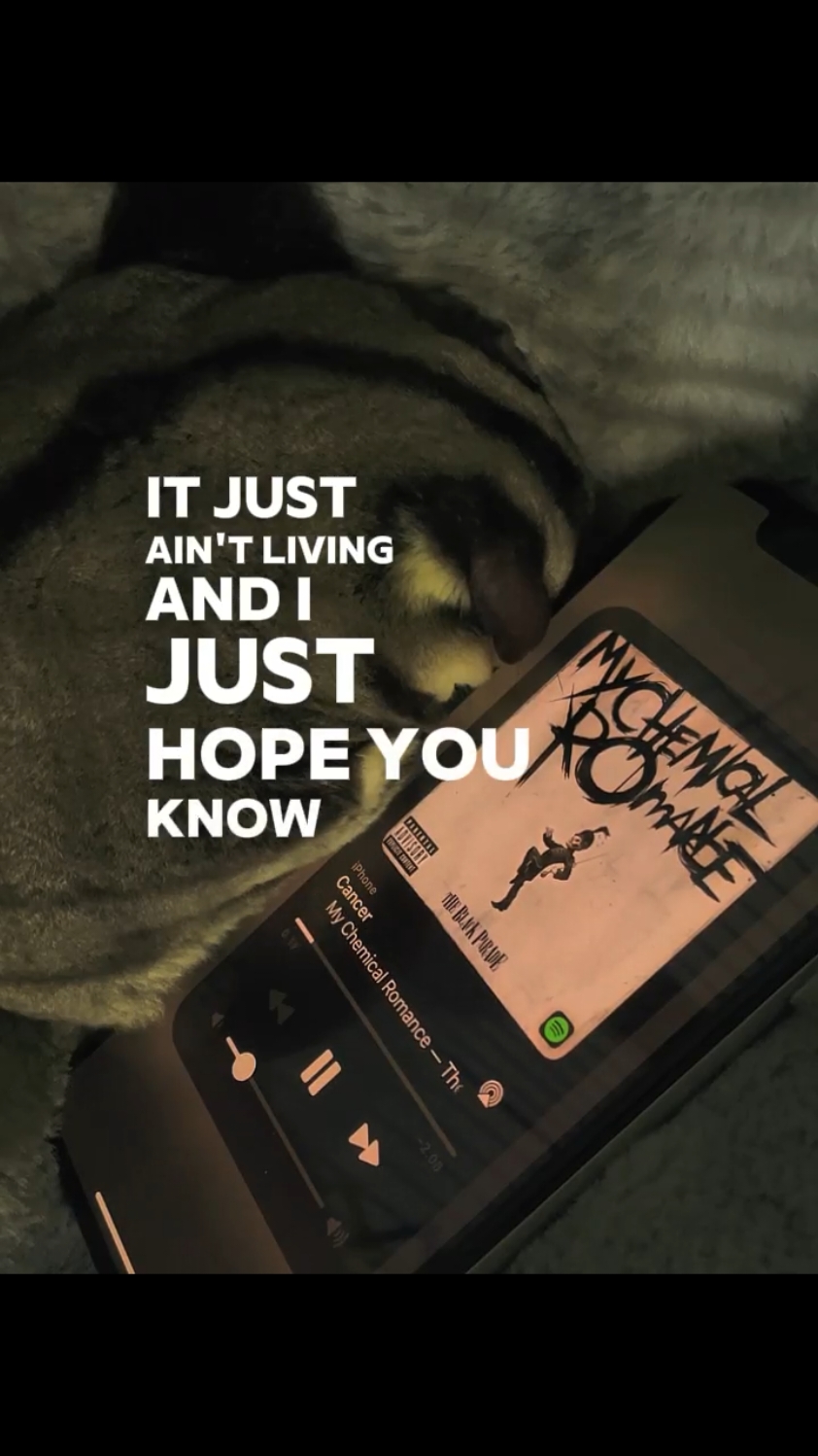 Cancer - My Chemical Romance video by @Sadglider  #cancer #mychemicalromance #lyrics #liriklagu 