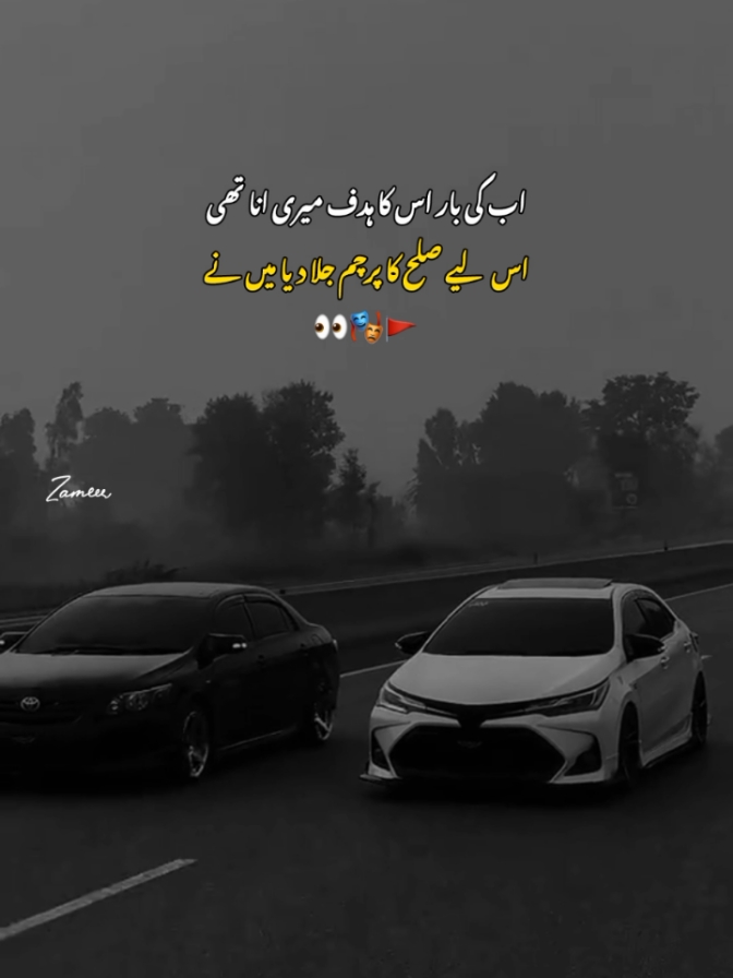 ||»𝐀𝐧𝐚 𝐦𝐚𝐢𝐧 𝐦𝐚𝐢𝐧 𝐚𝐩𝐧𝐚 𝐛𝐡𝐢 𝐧𝐡𝐢 ☠️🔥••| . . . #poetry #quotes #viral #video #tiktok #tiktokpakistan #fyp #foryou #foryoupage #zameer____writes #sigmaxzameer  #unfreezemyacount @𝑷𝒓𝒊𝒏𝒄𝒆💸 