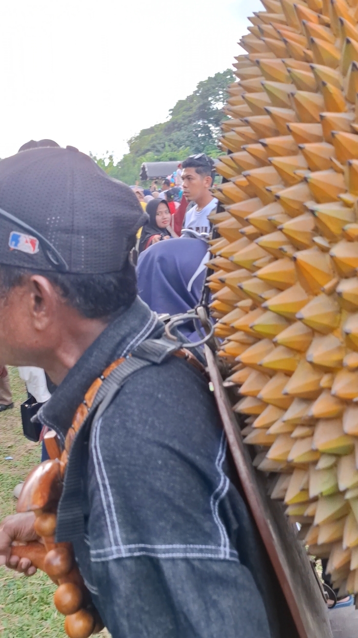 Momen Cagub Sulteng Ahmad Ali dikejutkan masyarakat bawa durian raksasa. Durian ini hanya tiruan, bukan durian asli ya. 😀 Tapi calon gubernurnya asli, nomor 1 untuk Harapan Baru Sulteng. 🥰 #pilgubsulteng #01UntukSulteng #OrangBaik #PakGemoy #nomor1 #Beramal #AhmadAliGubernur #ahmadali #AhmadAliAbdulKarim #KamiBeramal #SulawesiTengah #SultengBeramal #CalonGubernur #Sulteng 