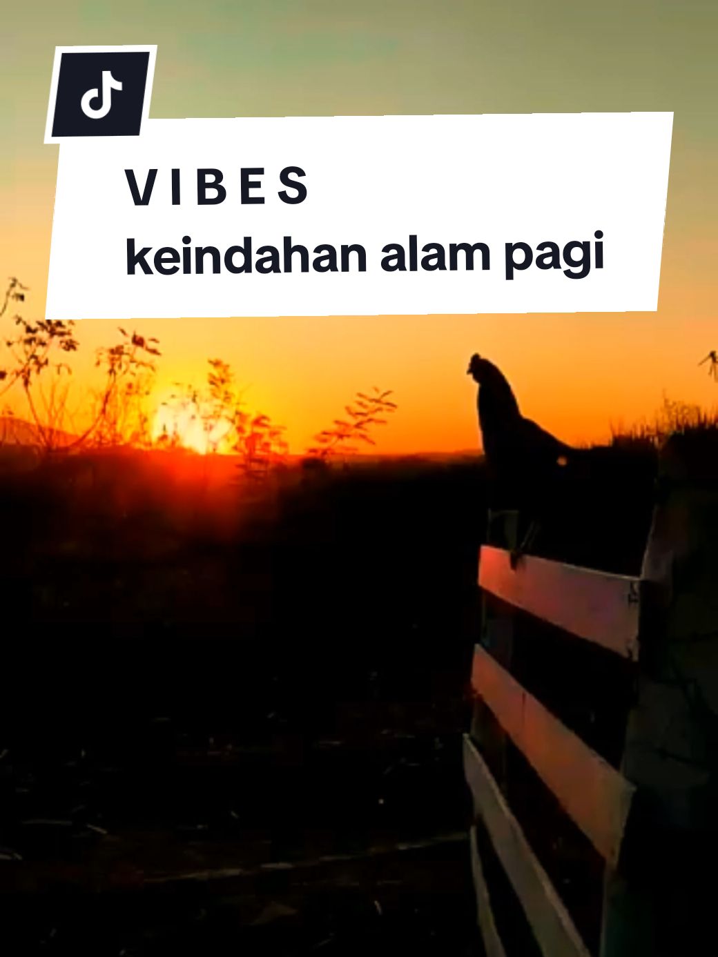 Waktu Terus Berjalan Sampai Kita Tak Menyadari Masa Sudah Berganti, Orang Yang Kita Sayang Pun Telah Tiada Pergi..😌 #vibes #nature #suasanapagi #keindahanalam #pemandanganalam #suasanajamandulu #tenvibestory 