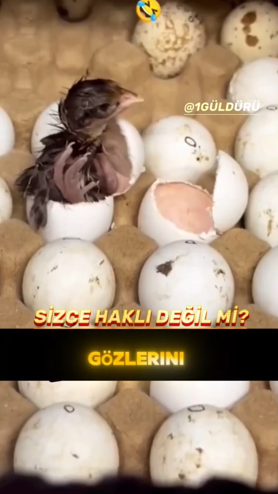 YAŞADIĞINIZ DÜNYA BUYSA..... #keşfet #komedi #komik #tiktokviral 