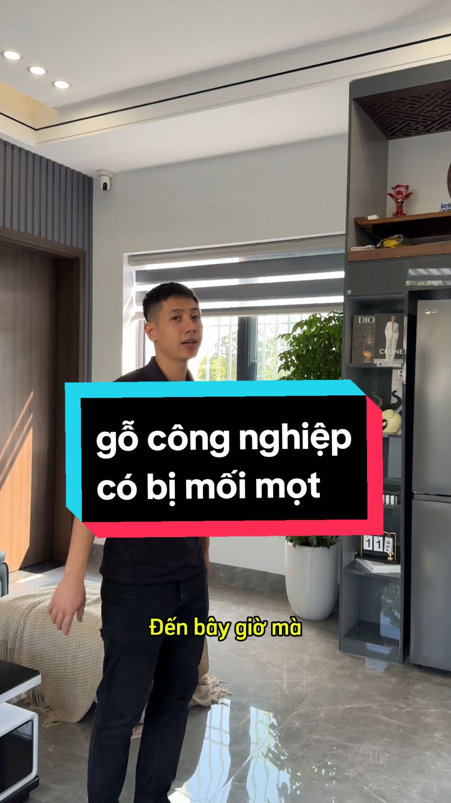 gỗ công nghiệp có bị mối mọt ??? #xuongnhathoang #Luongthanh #Nhathoang #thicongnoithat 