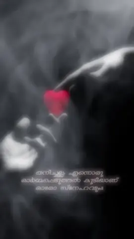 @🇷 𝖊𝖘𝖍𝖒𝖎. 🇷 .....🎻  #foryou #foryoupage  #quote #quotes 