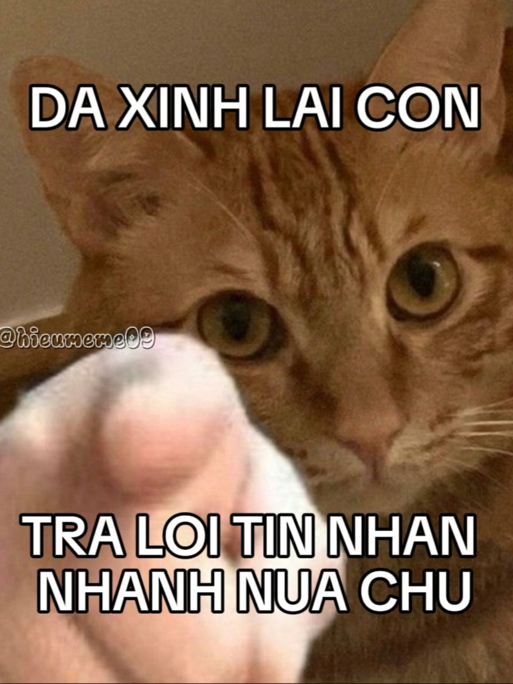 DA XINK CON TRL NHANH NUA⚡ #emyeubigdaddy #xuhuong #nhacremix #hieumeme09 #xh #nhachaymoingay #nhaccute 