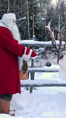 ya Comenzamos con la Temporada Navideña, y también Comenzamos a Mandar Saludos a todos los niñ@s del mundo #polonorte #santaclaus #navidad