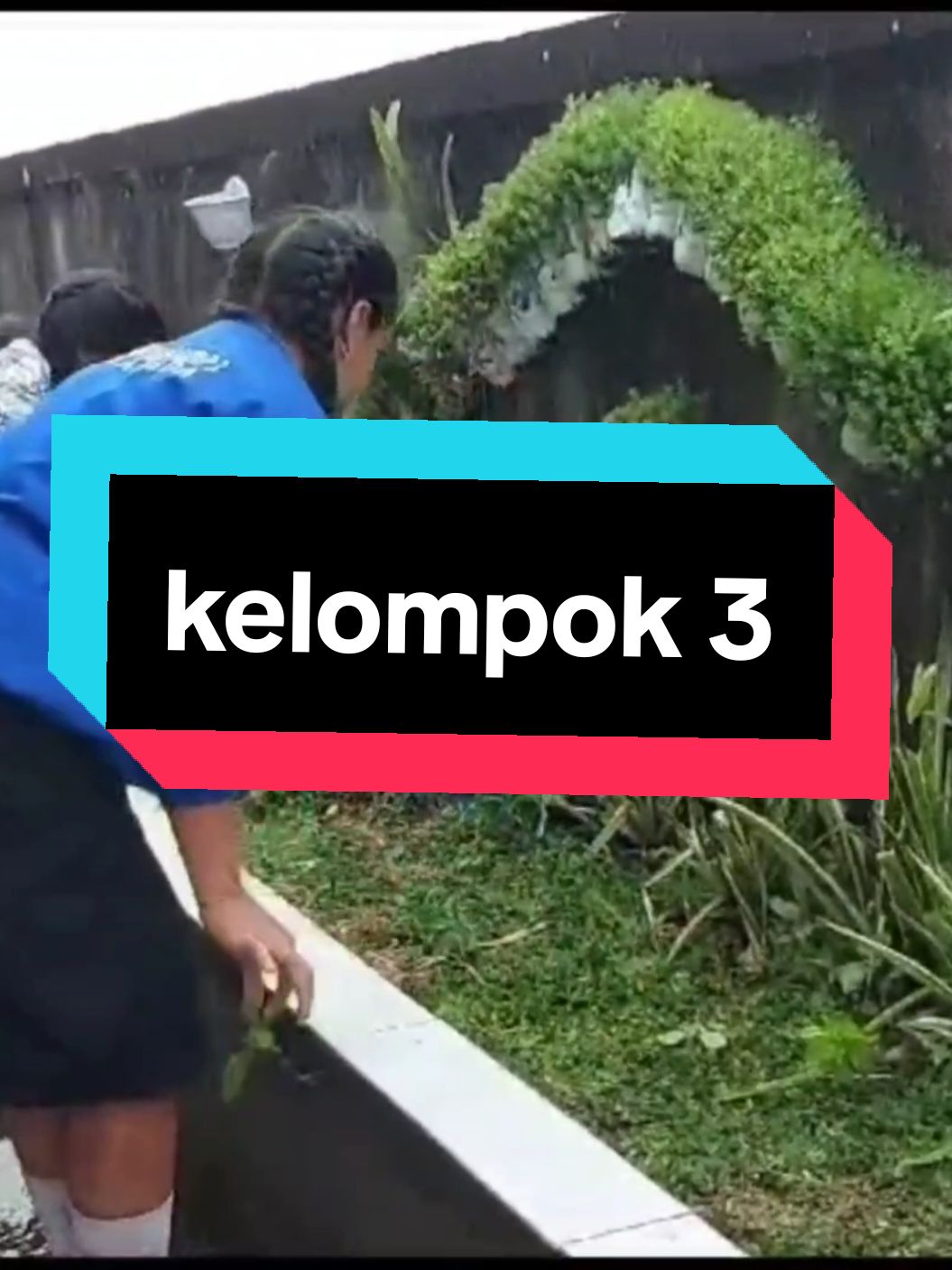 Anggota Kelompok: 1 Komang Adi Sudiadnyana 2 Kadek Depi Jati Ningsih 3 Luh Putu Linda Sri Utami 4 Ni Luh Putu Arlina Novita Ekariani 5 Komang Dian Utami 6 Made Dea Angelika Dewi Konsep: Kebersihan sekolah adalah tanggung jawab semua anggota sekolah baik kepala sekolah, para staf, guru-guru juga siswa-siswi. Namun karna di sekolah kita terdapat ekstra KSPL maka kitalah yang paling berkenan bila lingkungan sekolah tidak bersih. Bila lingkungan sekolah bersih suasana jadi segar, bakal bikin nyaman, aman dalam belajar dan bakal terbebas dari ancaman penyakit yang disebabkan oleh lingkungan yang kurang terjaga kebersihannya. Kelompok: 3 #4u #masukberanda #moots #spentaptrisada #kelompoksiswapedulilingkungan #ekstrakspl #fypシ゚viral #epeye