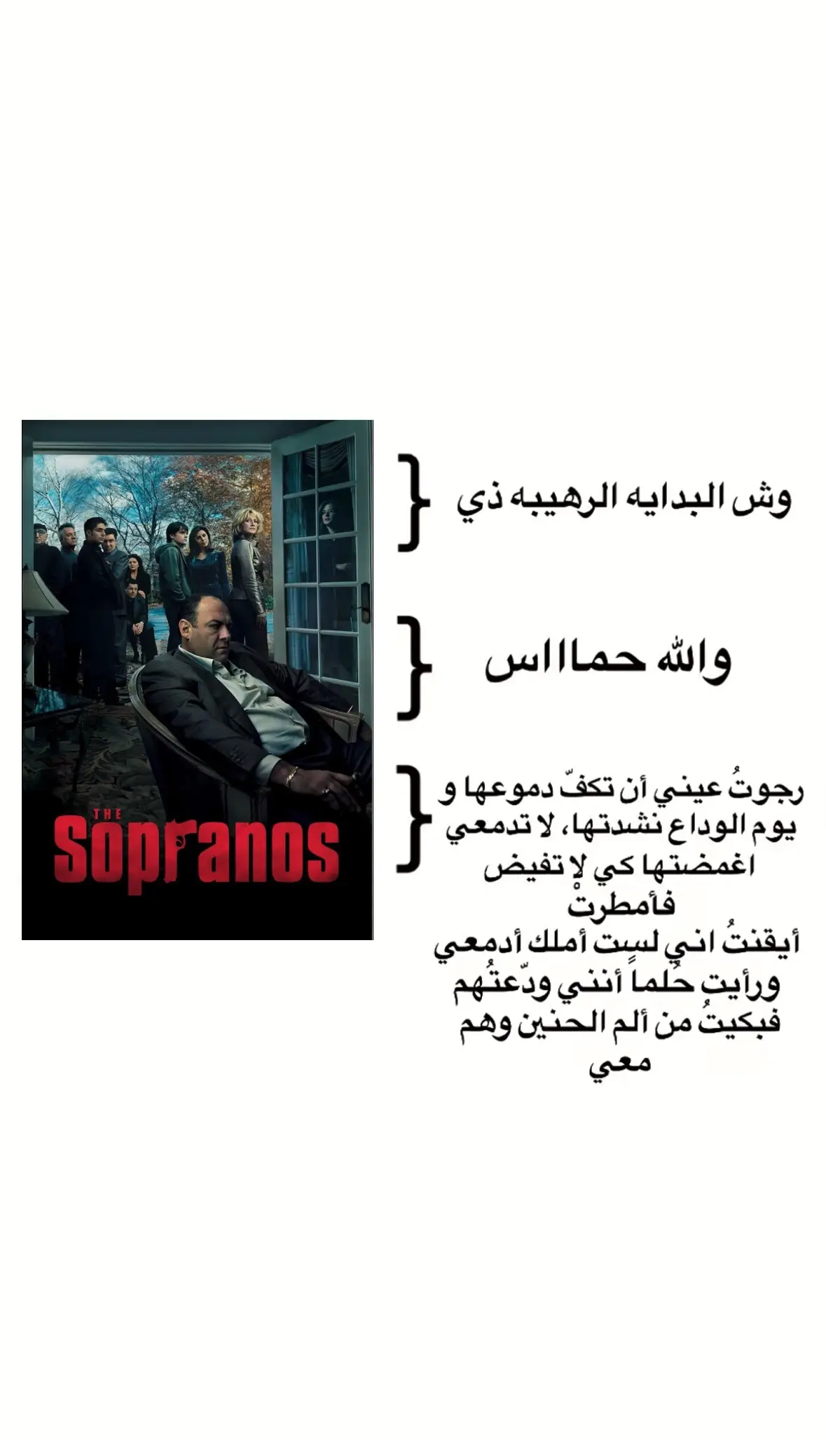 #ذا_سوبرانوس #soprano #توني_سوبرانو 