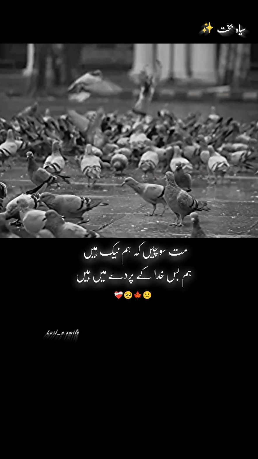 Real ❤️‍🩹 #unfreezemyacount #noman_writes #urdushayri #fyp #viral 