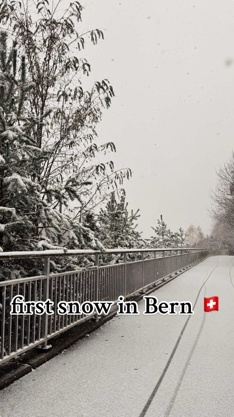 first snow in bern 🇨🇭 #switzerland #exploreswitzerland #swiss #bern #bernabeu #berne #schweiz #snow #christmas #weinachten #letitsnow 