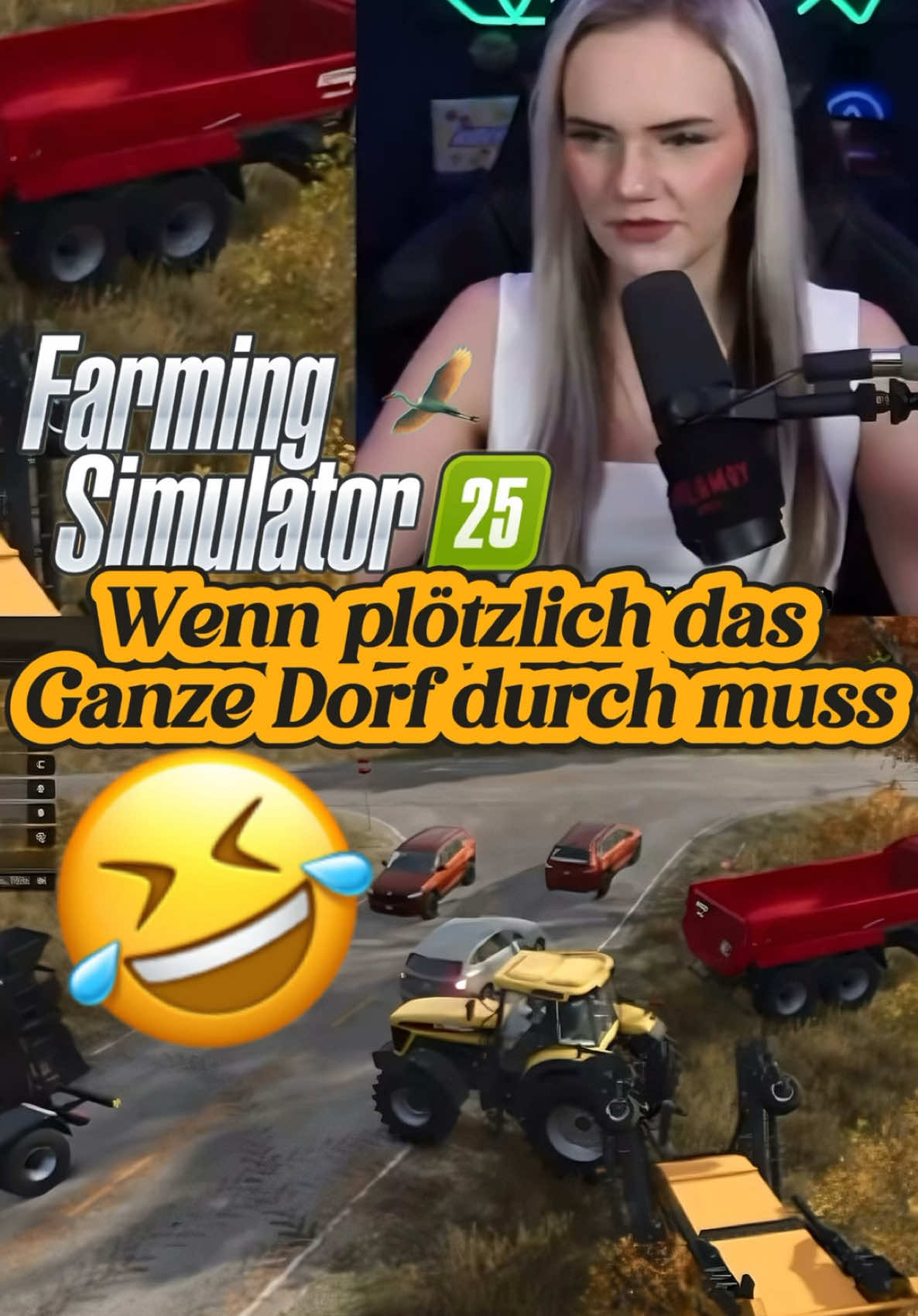 Müsst ihr denn jetzt alle durch?! #fs25 #farming #farmingsimulator22  #farmingsimulator25 