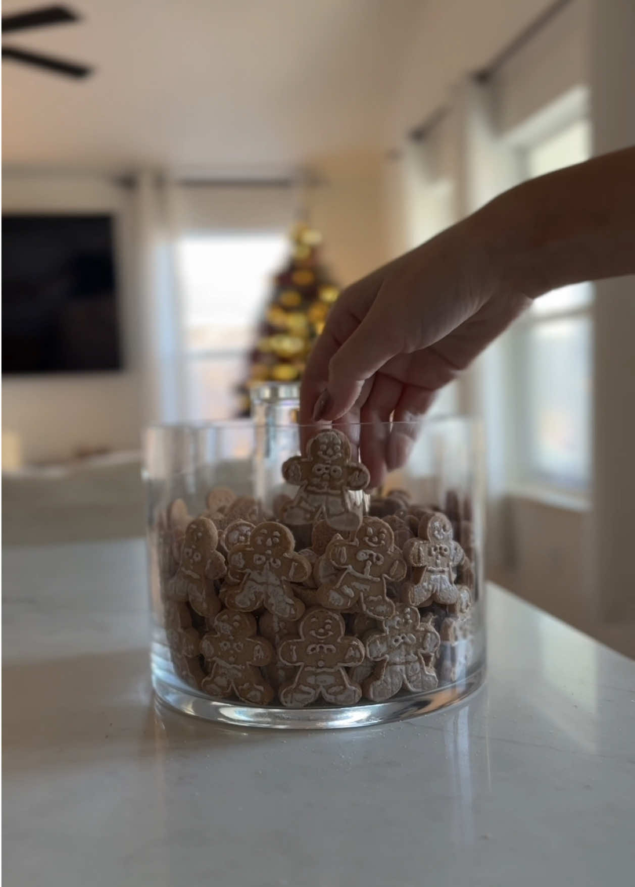 Gingerbread men are my favorite 🎄  #christmas #kitchenchristmasdecor #christmasdecor #diychristmasdecor #christmasdiy #gingerbread #cookiejar #christmascookies 