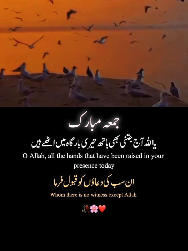 jumma Mubarak.#1millionauditions #easthatic #foryou #poetrystatus #foryoupage #fypp #dopalpoetry #islamic_edit09 