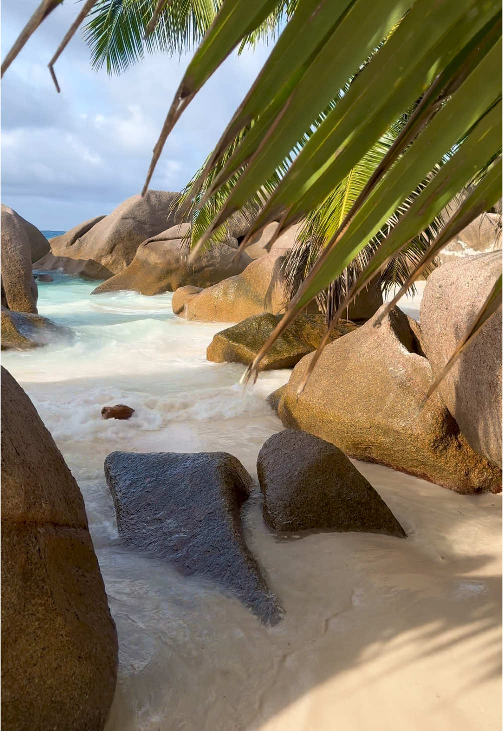 Comme dans un rêve 💭🏝️🥥 #seychelles #seychellesisland #ocean #eauturquoise #beautifuldestinations #tropical #moana #traveltok #heavenonearth #beach #plage #voyage #easthetic #naturesounds #dreamdestination #bucketlisttravel #frypgシ #fry #pourtoi #travelwithme @Seychelles @Beautiful Destinations 