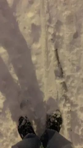 I love snow#vinlandsaga #nature  