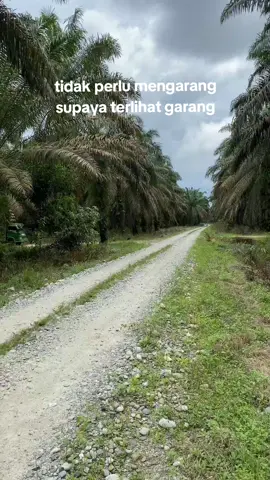 yang pasti pasti aja🫡 #sawitontiktok #fyppppppppppppppppppppppp #sawitriau  @kebalgosip1209 @andiksableng 