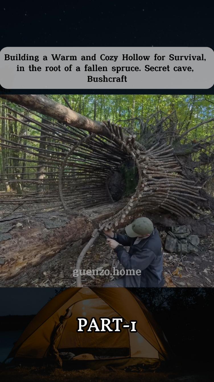 Building a Warm and Cozy Hollow for Survival, in the root of a fallen spruce. Part 1 #bushcraft #build #camp #camping #survival #shelter  #wildlife #Outdoors #outdoor #viralvideo #fyp 