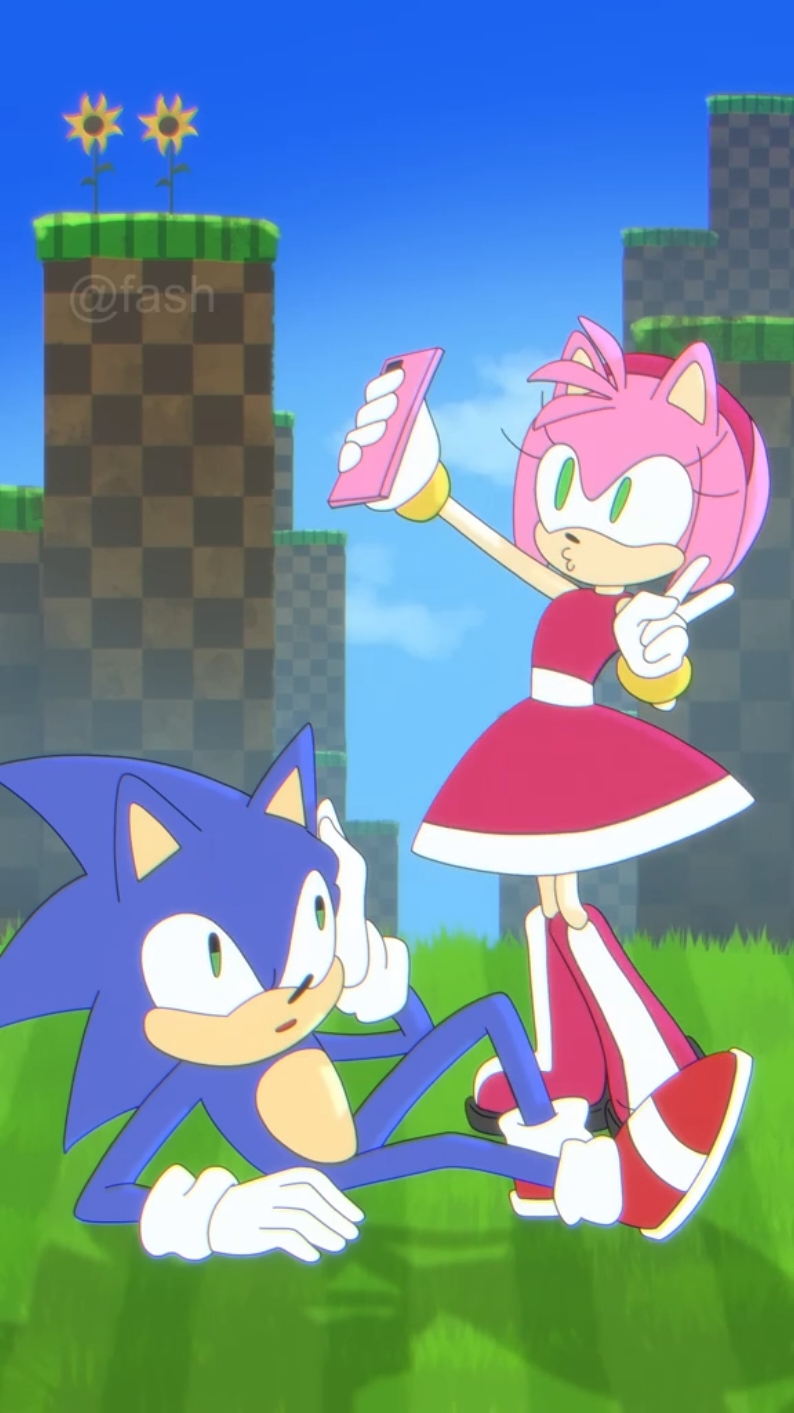 Amy vs Sonic Pictures (Sonic the Hedgehog) #sonic #sonicthehedgehog #animation 