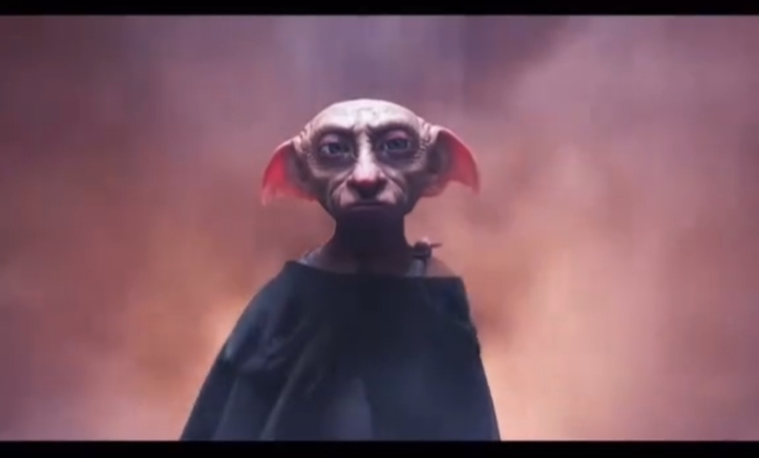 #dobby #dobbythehouseelf #harrypotter #starwarsfan #obiwan #lichtschwert #lightsaber #lustig #lustigeclips #lustigevideos #fyp 