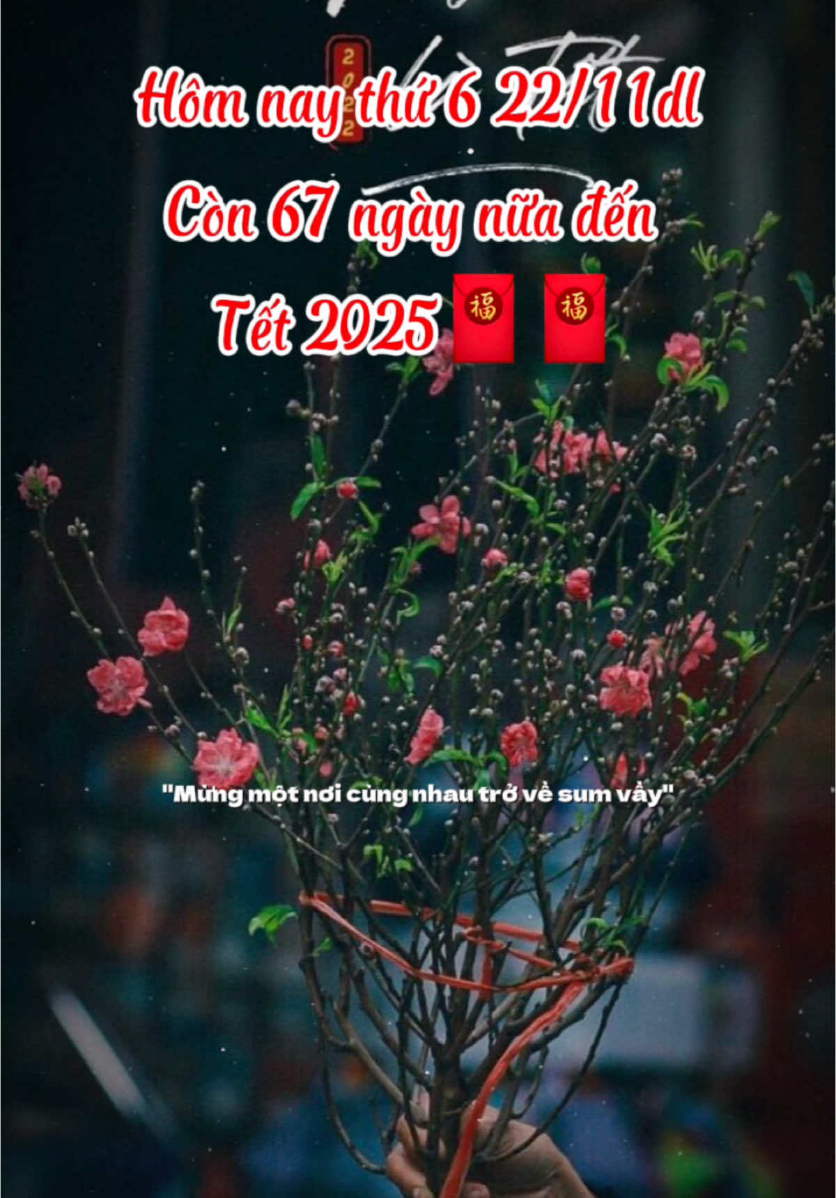 còn 67 ngày nữa thôi mn ơi. Dư được bao nhiêu rồi nè #tet2025 