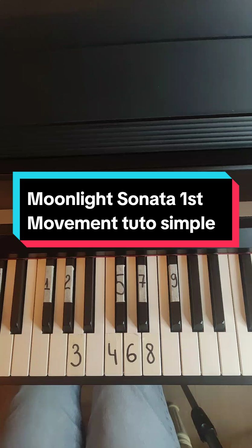 Moonlight Sonata 1st Movement - Beethoven  Notes for the right hand : 1-Fa# / F# 2-Sol# / G# 3-La / A 4-Do4 / C4 5-Do#4 / C#4 6-Re / D 7-Re# / D# 8-Mi / E 9-Fa# / F# #instrumental #pianomusic #tutorial #piano #pianolesson #fyp #fypシ゚ #pianolesson #music #beethoven #moonlightsonata 