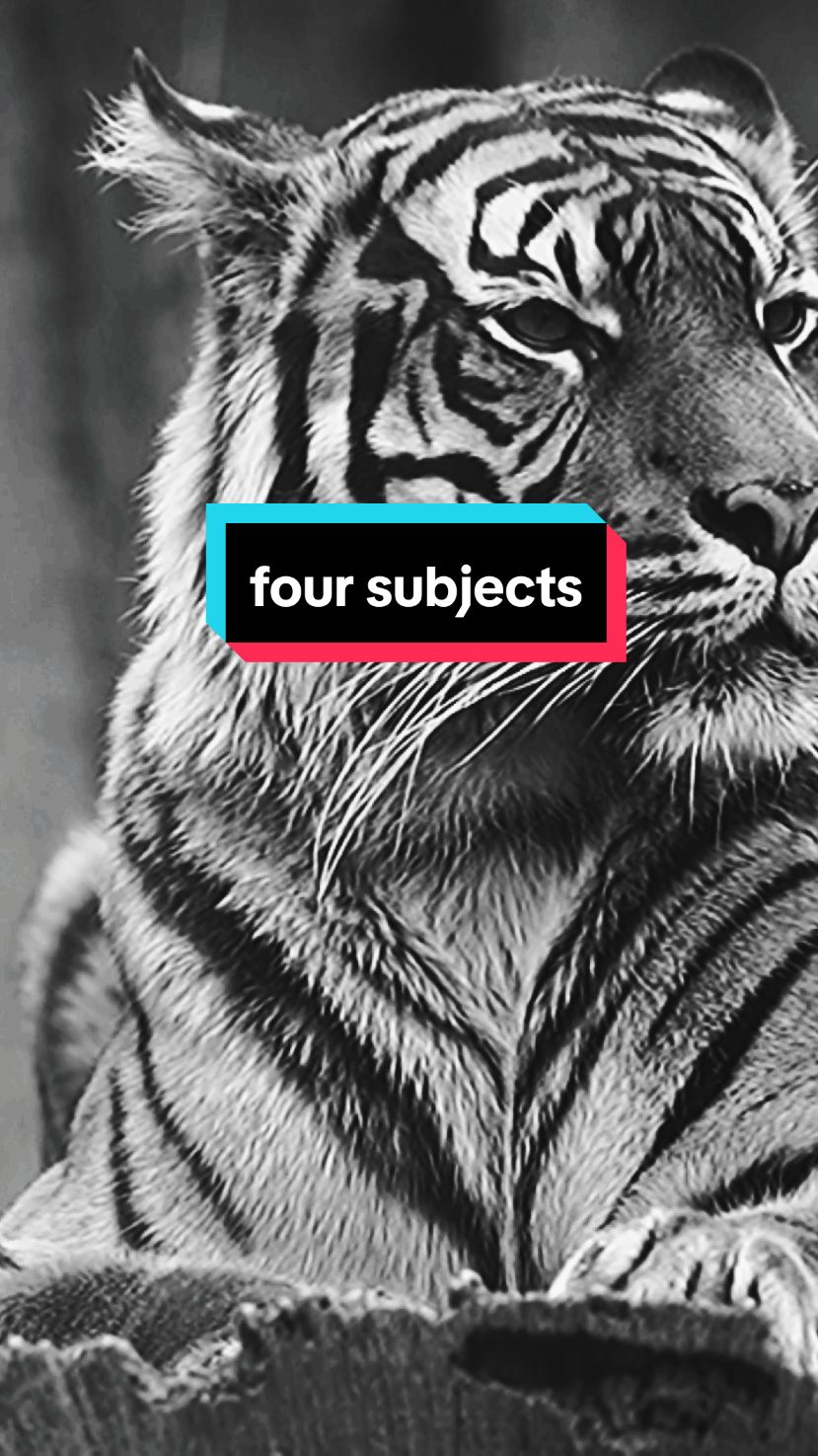 درست في الدنيا علي يد الظروف أربعة مواد In this world, due to circumstances, I studied four subjects #اقتباسات #حالات_واتس#تيك_توك #اكسبلور#ترند #motivation #motivationalquotes #motivationmonday #motivationalvideo #explore #pourtoii #fyp #خواطر #tik_tok #videoviral #السعودية #العراق ##سوريا #الاردن #المغرب #تونس#الجزائر #ليبيا#لبنان #الكويت #قطر #البحرين #فرنسا#فوريو #newtrend #tiktoklongs #tranding #عمان#كلام_من_ذهب #عبارات #ستوريات 