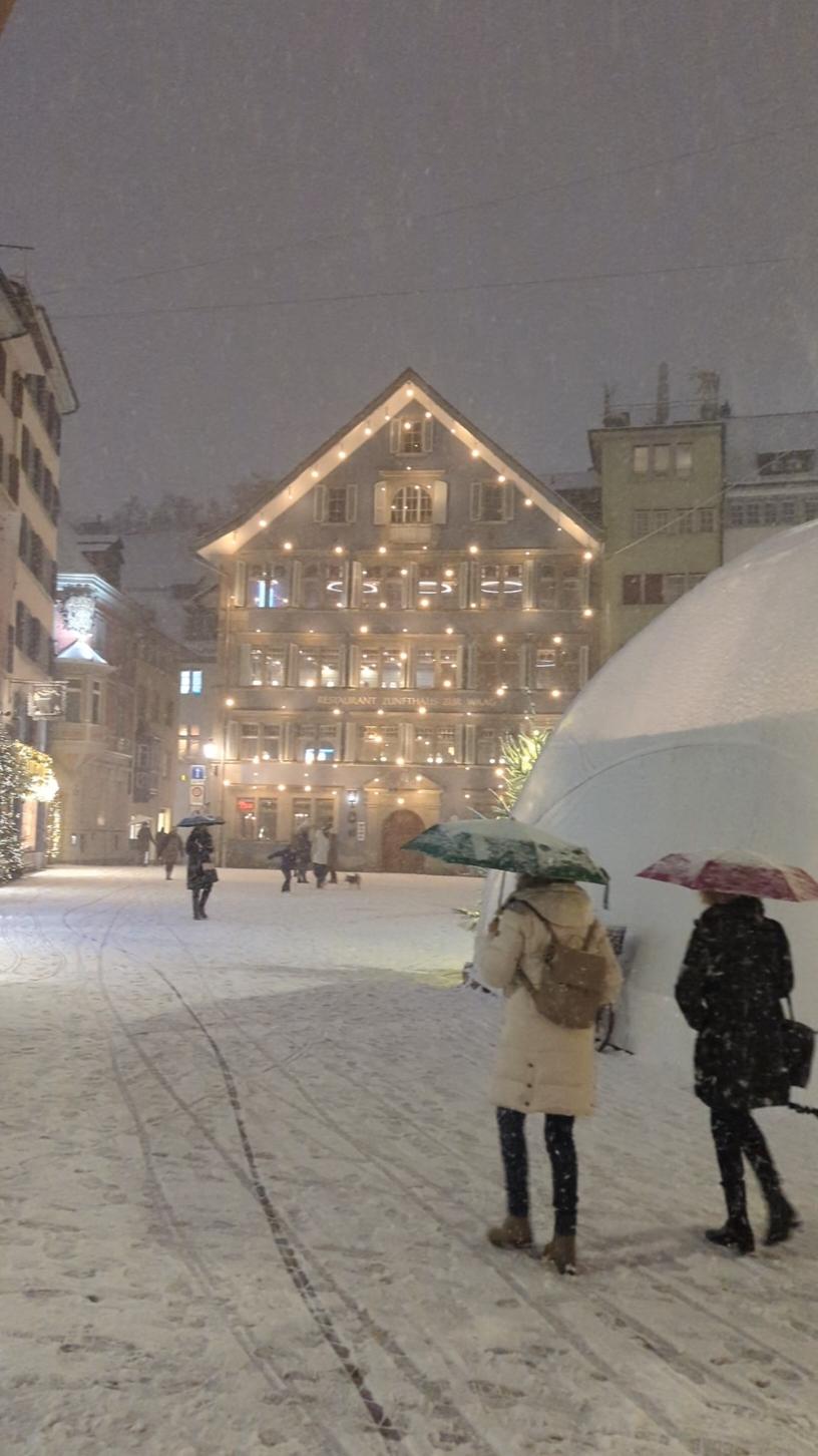 First snow in Zurich, Switzerland🎄✨ 🇨🇭 | Nov 21st 2024 #Zurich #ChristmasMarket #WinterWonderland #SnowyNights #FestiveVibes #Switzerland #HolidaySeason #TravelMoments #Christmas2024 #Christmas #Xmas 