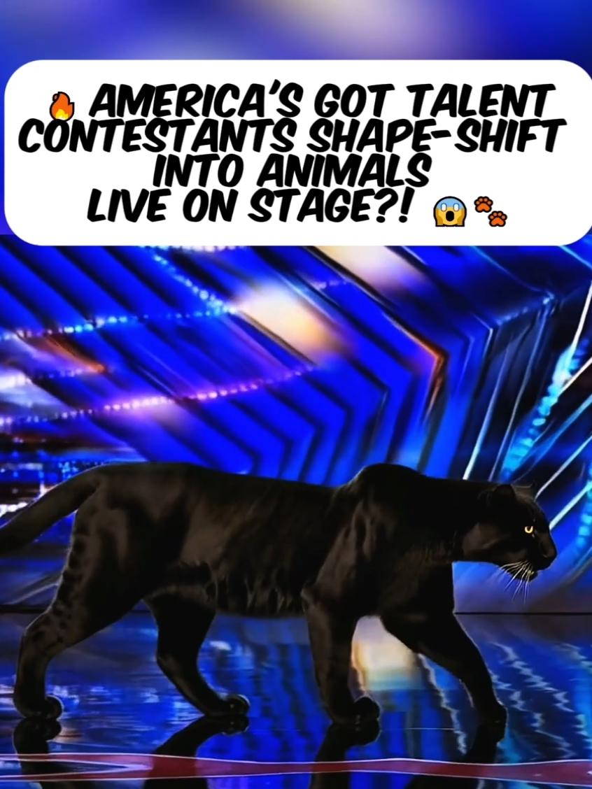 AMERICA'S GOT TALENT LIVE STAGE,SHAPE-SHIFT,SKINWALKERS,MAGIC,WHAT HAPPENED?