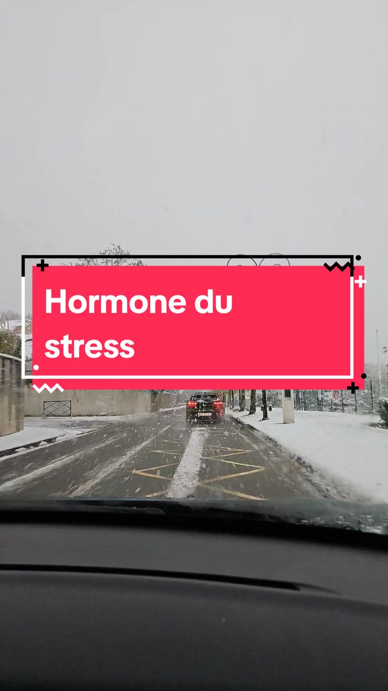 Demande moi comment faire si tu ne sais pas! #cortisol #hollistique #pertedepoids 