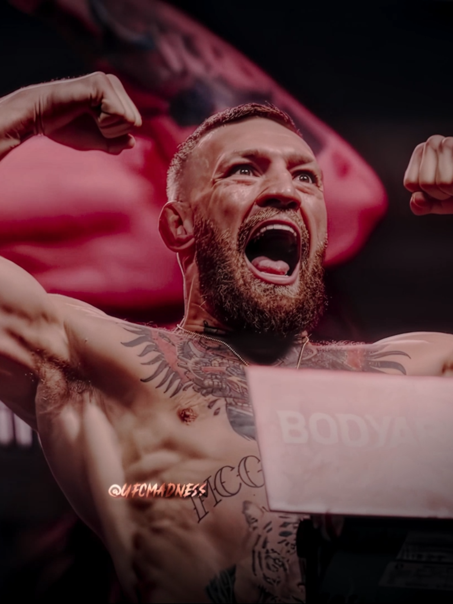 Conor Mcgregor and Dustin Poirier, The End of the Trilogy #conormcgregor #mcgregor #dustinpoirier #UFC