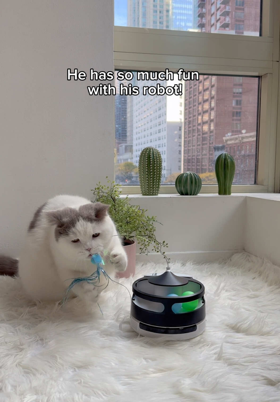 Sponge Cake and Donut are absolutely loving their ROLA PetPal! Whether it’s treat time or playtime, this companion robot keeps them happy, active, and entertained. With ROLA PetPal, staying connected with your pets anytime, anywhere has never been easier! @Enabot #Enabot #EnabotROLAPetPal #catsoftiktok #PetsOfTikTok #cats #cat #catlover