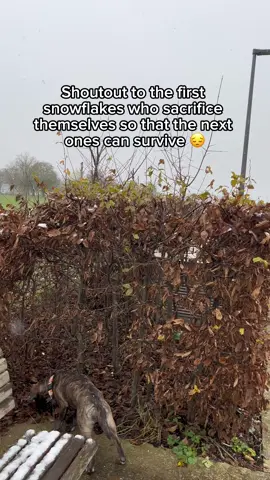 Real heroes ! 😢                              #foryoupage #snow #winter 