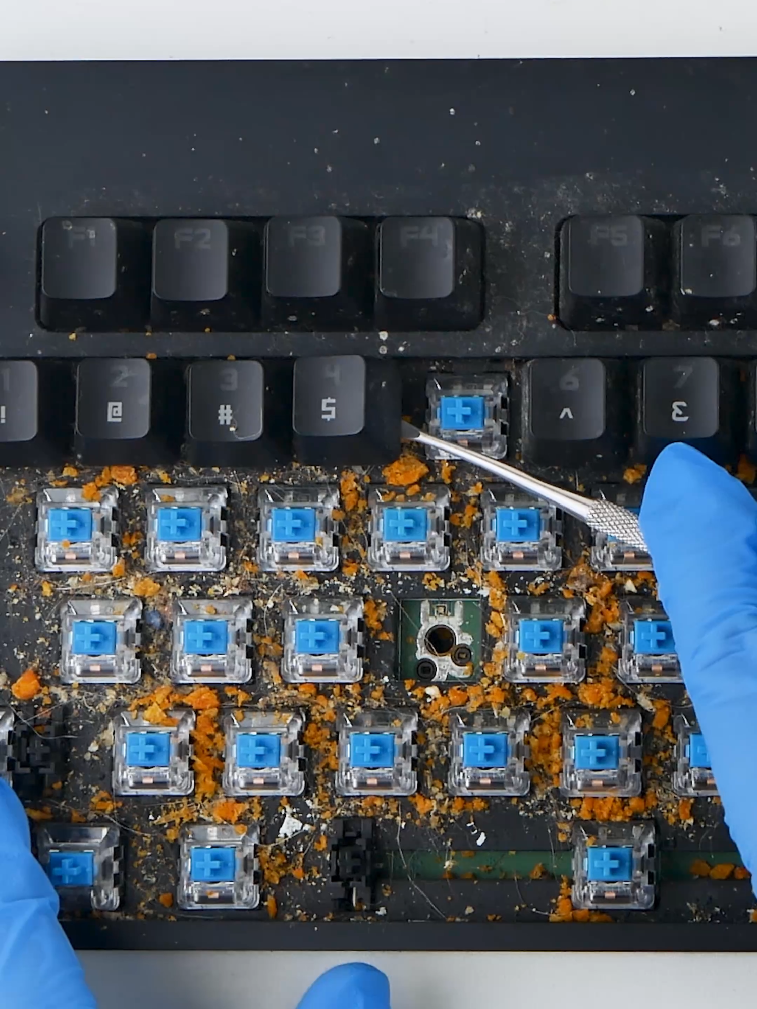 I Cleaned The World's Dirtiest Gamer Keyboard! #cleaningthedirtiest #keyboardasmr #ctd #keyboard #asmr #asmrcleaning #satsifying #dirty #cleaningasmr #satisfyingcleaning #cleaning #cleaningtiktok #cleaningtiktoks #CleanTok #cleantoks #omg #foryoupagе #viraal #logitech #logitechxpro @logitechg @logitech @logitechguk