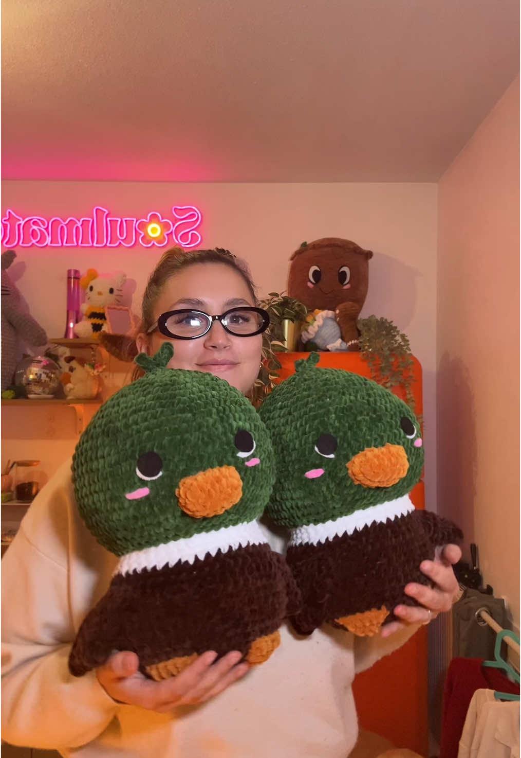 ✨💕💐🌲🌌 #crochet #crochetersoftiktok #fyp #duck 