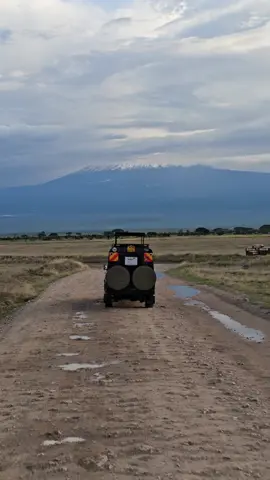 The snow-capped Mount Kilimanjaro made a brief appearance, providing a stunning backdrop as we captured breathtaking shots of elephants in its shadow.