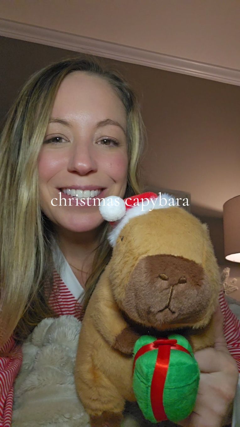 I love him 🥹🎄🎁🎅 #capybara #stuffedanimals #toy #christmas 