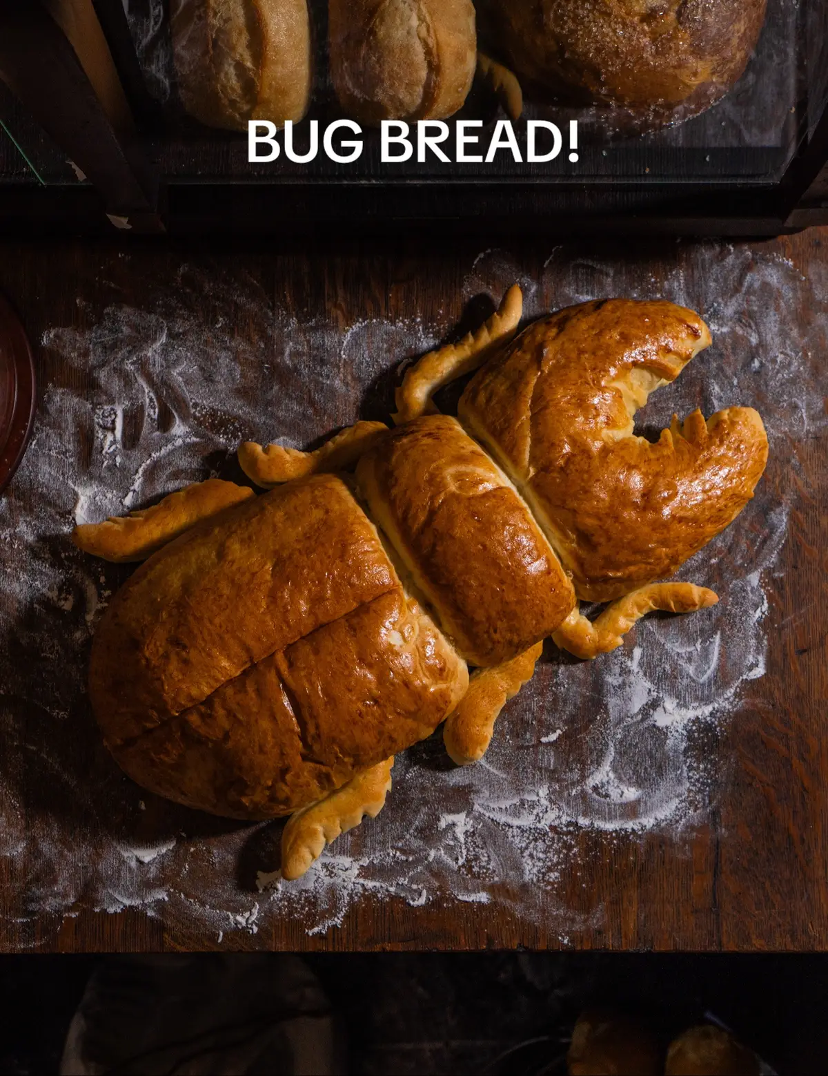 A Bug-uette anyone? This is one of my favorite bread recipes in my book Peculiar Baking. It’s perfect for the holidays! I know some may roll their peepers at the thought of having a beetle at their dinner table, but I’ll have you know that beetles represent good luck. A little extra luck never hurts. But if I still haven’t convinced the normies, I invite you to make this recipe in the form of boring dinner rolls. They’ll look ordinary but taste fantastic! 🪲 My books available now! link in bio.  #bread #breadart #breadanimals #beetle #foodart #breadbaking #breadshaping #cookbook #peculiarbaking 