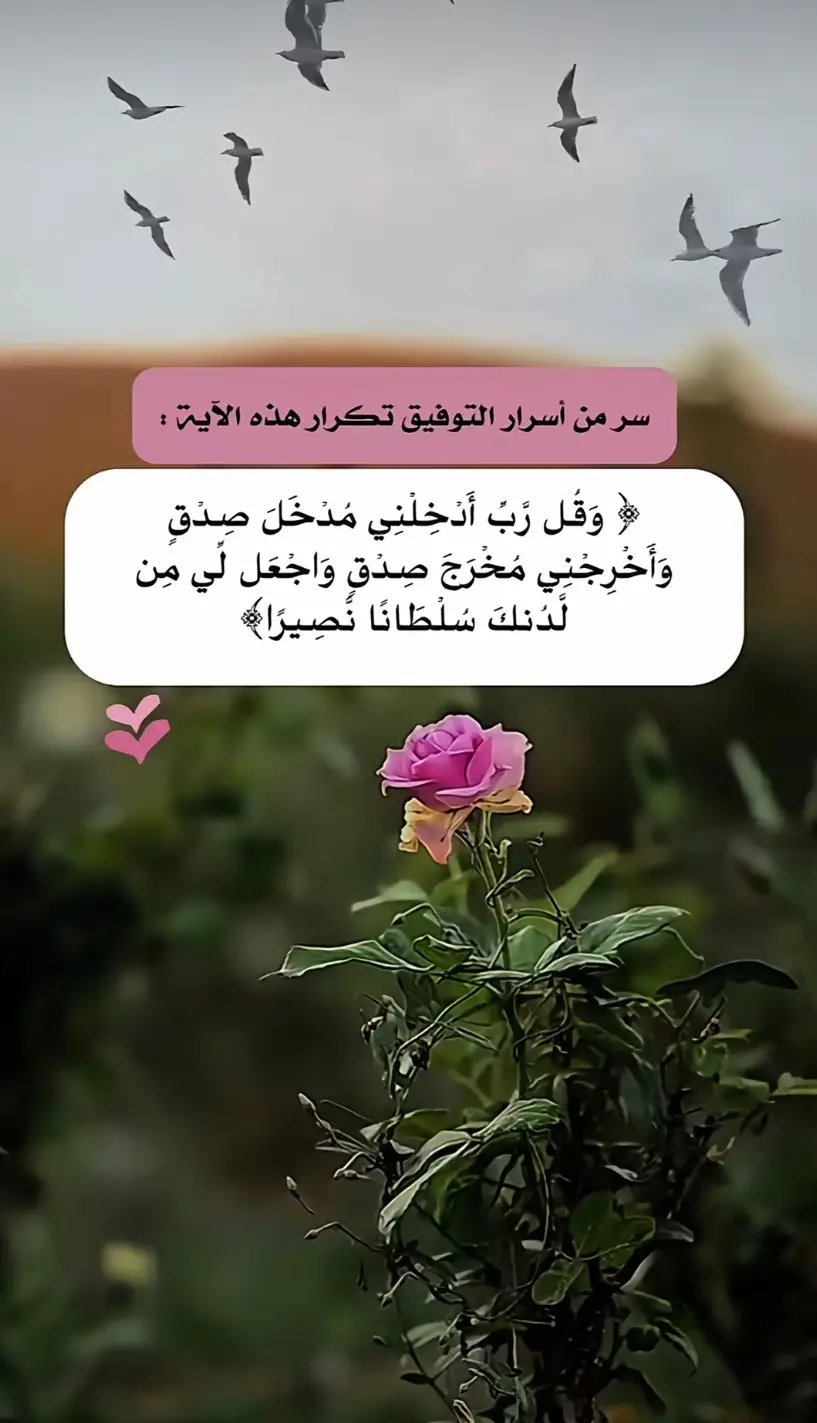  يا حي يا قيوم برحمتك أستغيث أصلح لي شأني كله ولا تكلني إلى نفسي طرفة عين 💐  #اكبسلوووررررررر #القران_الكريم #سبحانك_ربي_مأعظمك #الرضا_سر_السعادة #الاستغفار_يقضي_الحوائج #الابتلاء_اختبار_قوة_استعانتك_بالله🌙🌾 #انشراح_للصدر_تهدئه_للنفوس_انه_القران #اللهم_صل_وسلم_وبارك_على_نبينا_محمد 