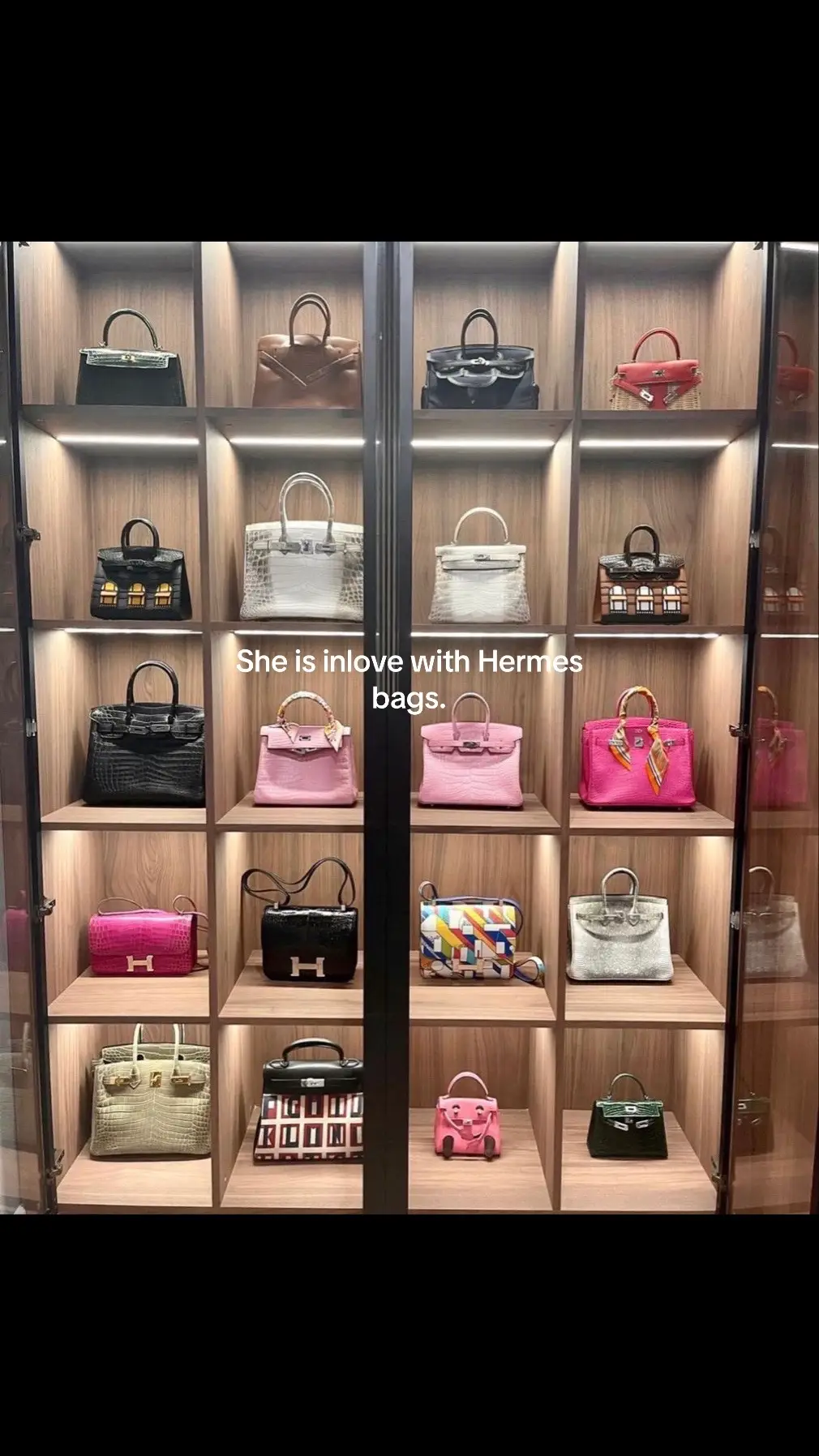 #hermes #birkin #she #collection #viral 