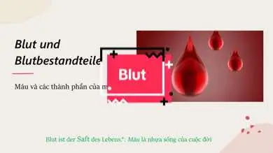 Máu và các thành phần của máu là phần cũng rất thú vị và quan trọng trong học nghề Điều Dưỡng tại Đức.  #tuvungtiengducmoingay #tiengducdieuduong #dhsdieuduong #dhsduc🇩🇪🇻🇳 #dieuduongduc  #ausbildungpflegefachfrau #dieuduongkhongkho #xuhuong 