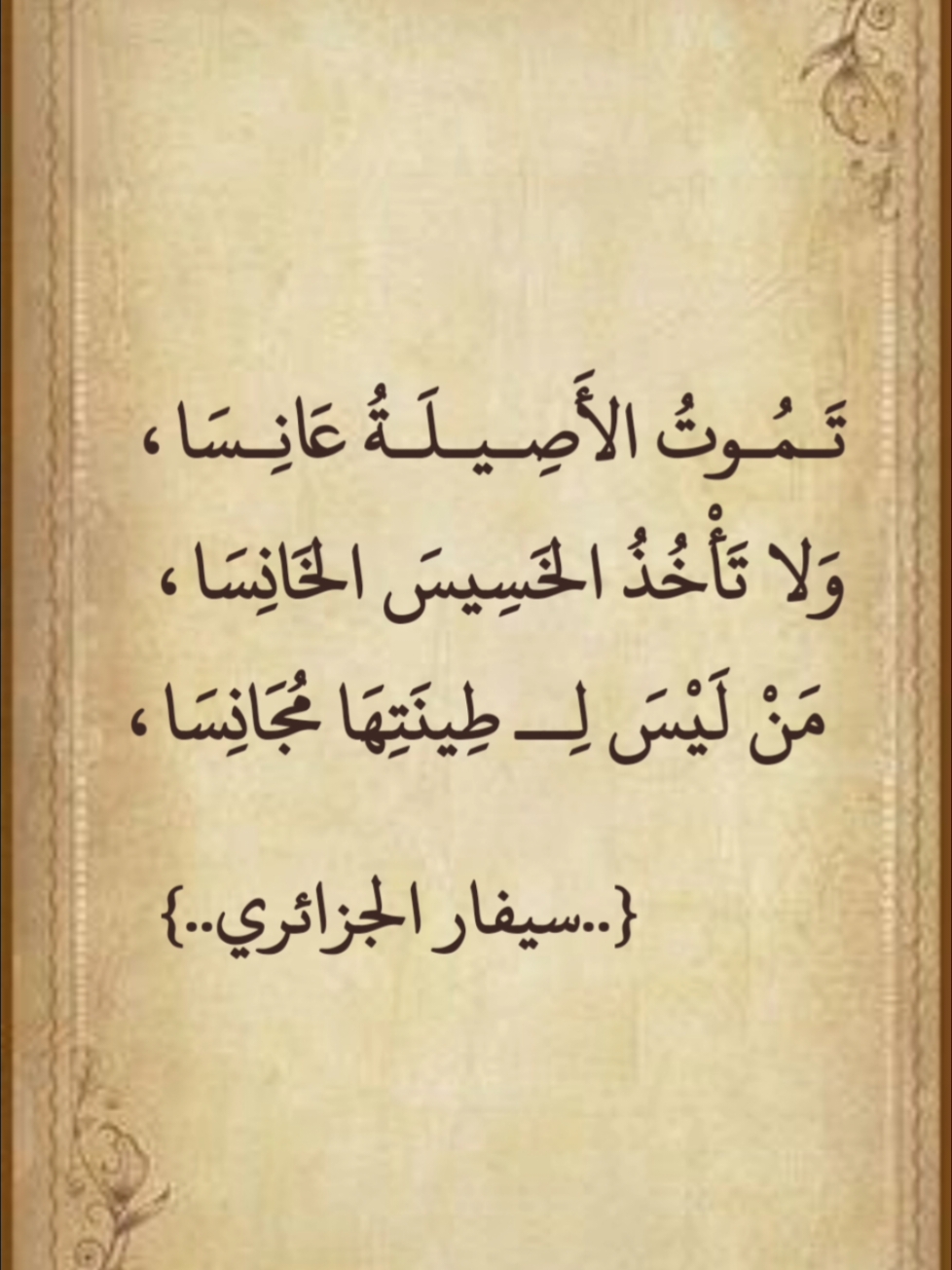 #اكسبلورexplore #اكسبلوررررر #اكسبلوررر #الجزائر #العراق #السعودية #مصر_السعوديه_العراق_فلسطين #اللغة_العربية #العالم_العربي #اكسبلور_تيك_توك #الجزائر🇩🇿 #اكسبلور 