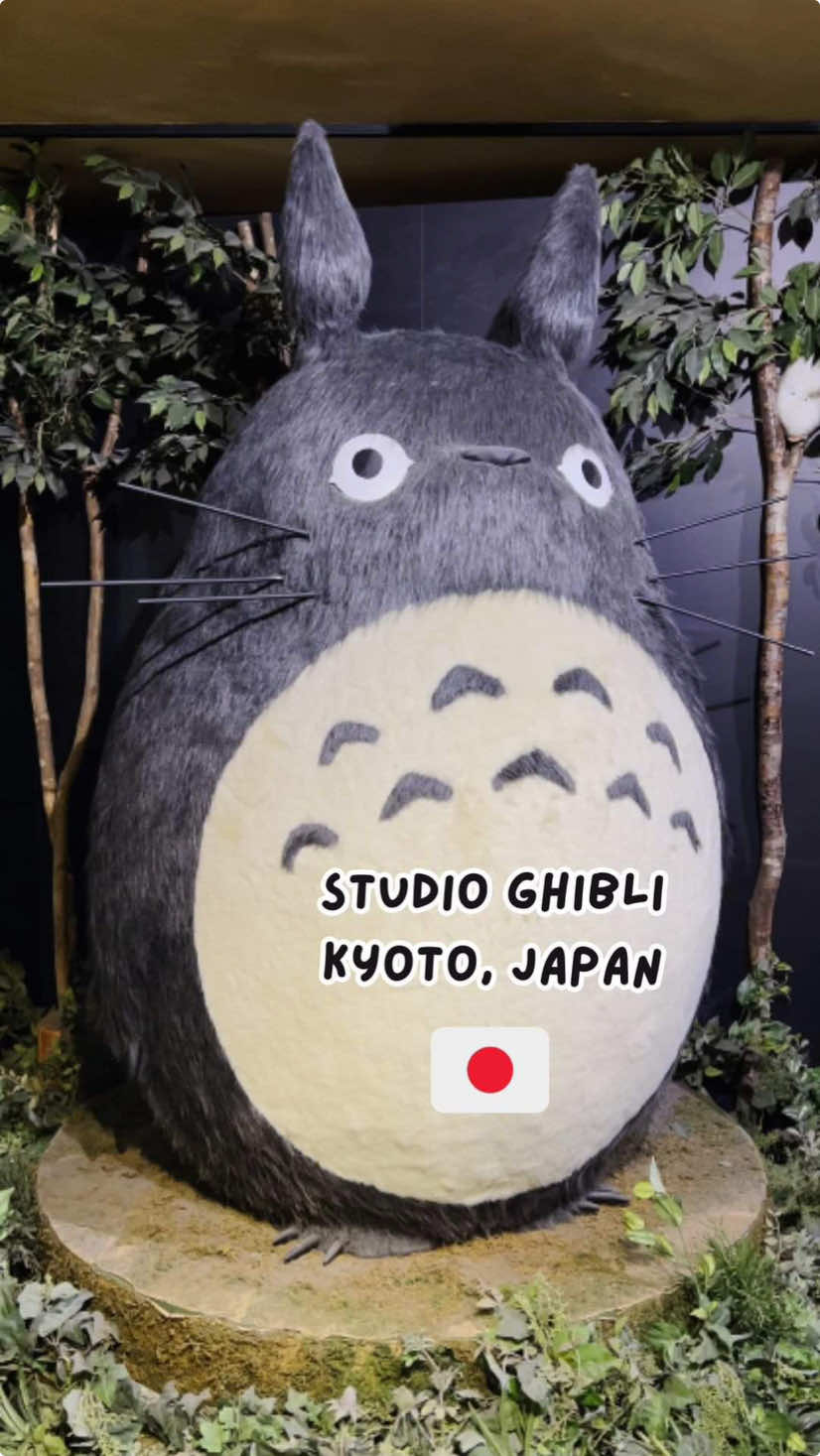 I might have shoved the Totoro into my tiny suitcase 😅 . . . #studioghibli #studioghiblifilms #studioghibliart #studioghibliedit #studioghiblivibes #japan #japantiktok #japanese #kyoto #kyotojapan #kyototravel #japanlife 