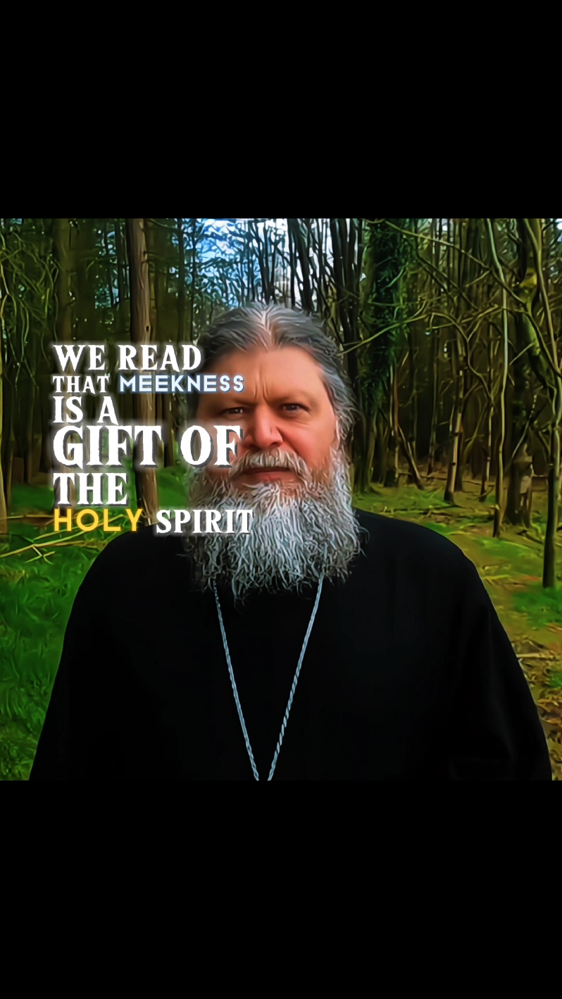 Living a Blessed Life ~ Meekness By Father Spyridon #foryourepage #fyp #foryou #christiantok #Jesus #blessed  #meekness #orthodox #fatherspyridon 