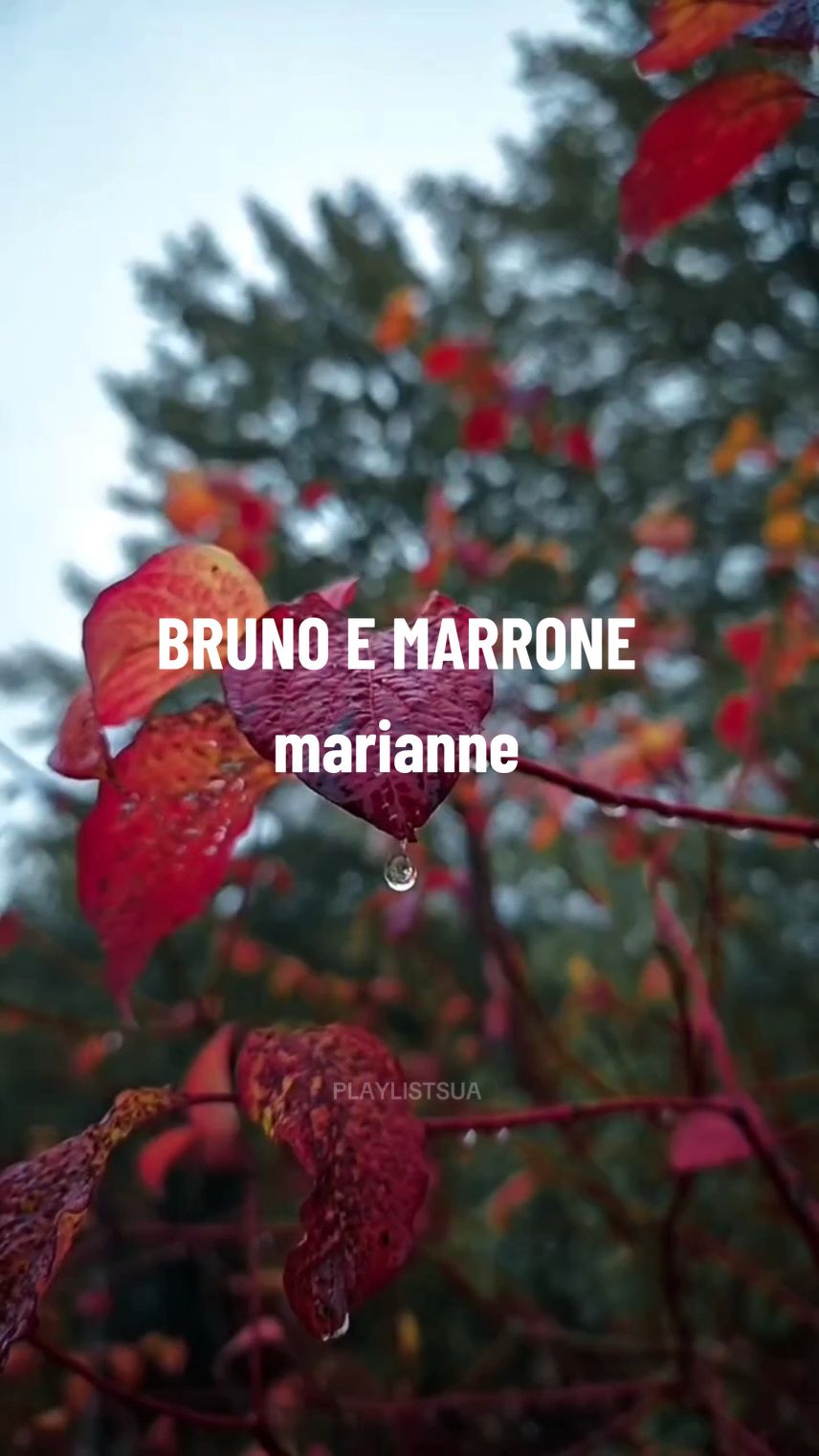 Marianne - Bruno e Marrone  #brunoemarrone  #sertanejo  #modao  #musicasertaneja  #sertanejoraiz 