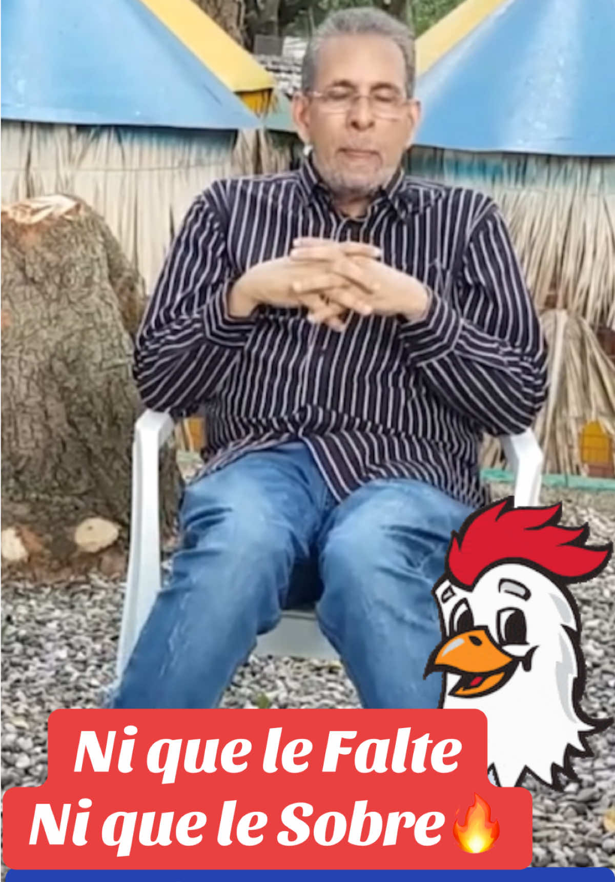 El Ing. Ricardo Contreras No Regala un Consejo que le Dieron 40años Atras “No Encate Animales ni que le Sobre ni que le Falte para hacer Raza de Gallos” #fyp #fypp #viral_video #viralditiktok #gallo #galleria #farmlive #mondiez #angelmartines #gallosworld #gallosfinos💯 #gallosmexico🐓👌 #gallocolombia #republicadominicana #puertorico #peru #country 