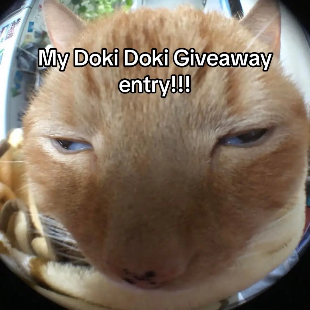 #dokidokicovermy2025 @Dokidoki Cosplay #dokidoki #cosplaygiveaway #animetiktok #cosplay #giveaway 