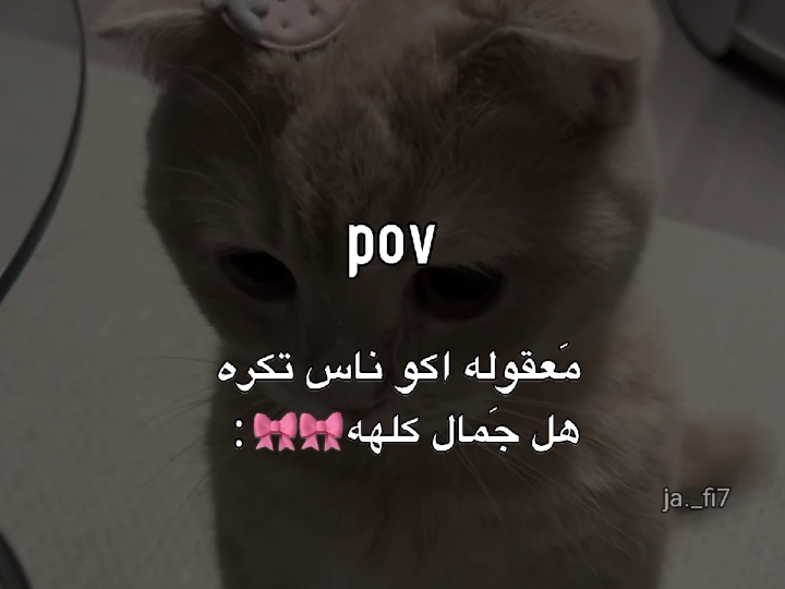 اريدهاا🎀🎀.        #fypシ #العراق #viral #مالي_خلق_احط_هاشتاق #الشعب_الصيني_ماله_حل😂😂 #مَارينال🇮🇶 #رياكشن #explore 