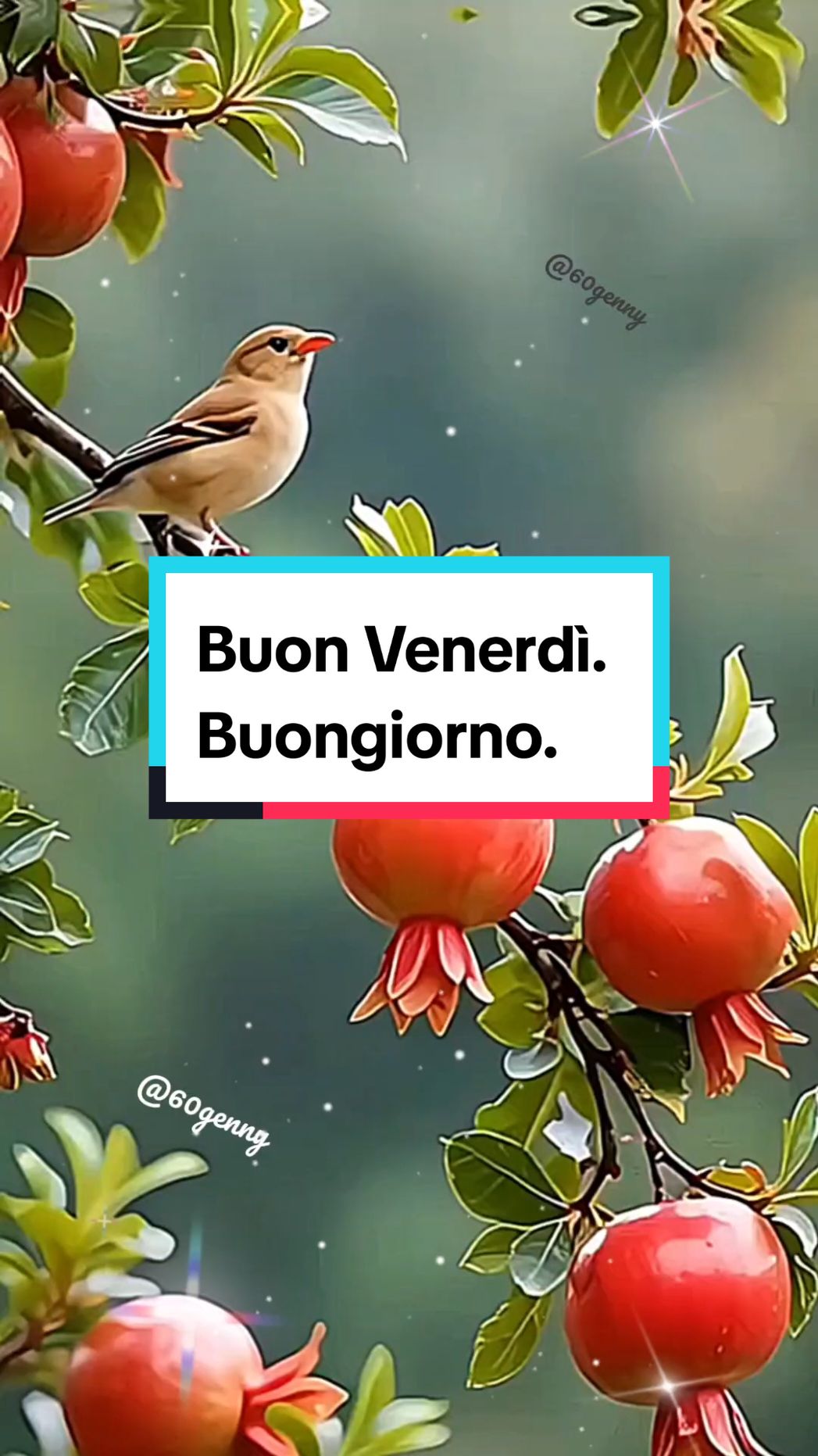 #buonvenerdi #buongiorno #buonagiornata 