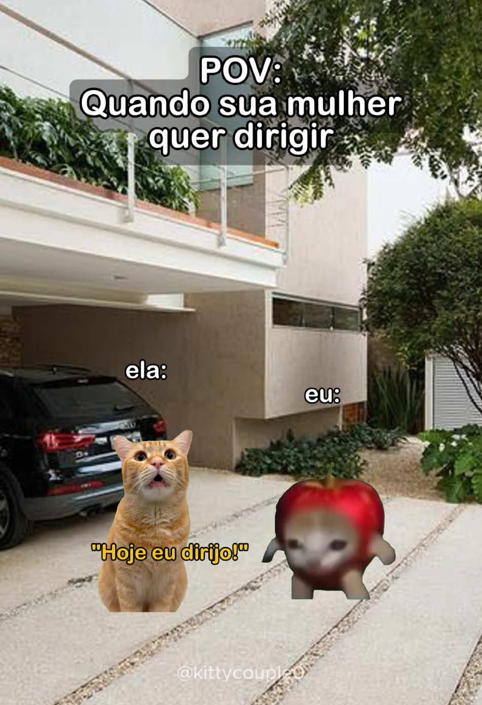 Isso é um pedido de ajuda 😹 #casal #gatos #gstinhos #memes #pov #foryou 